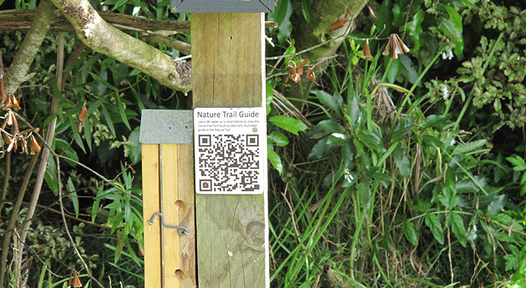 Centennial Park Nature Path - Nature Path guides or QR Code.