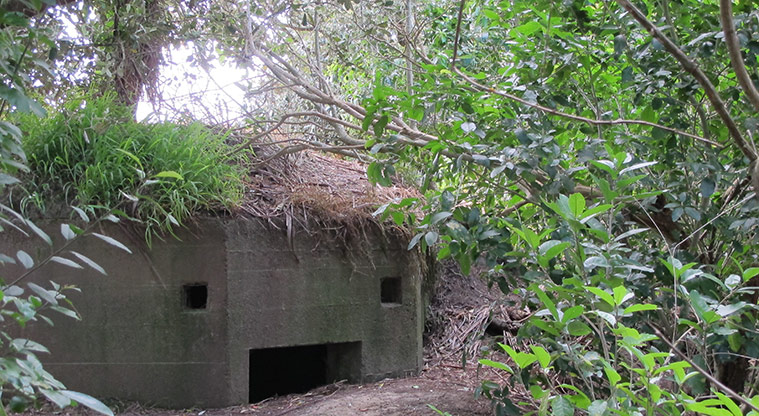 Centennial Park Nature Path - World War II “Pill Box”.