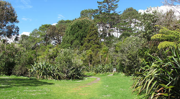 Centennial Park Nature Path - Clearing area near the path start and end.