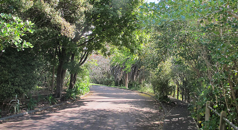 Centennial Park Path - Path start point from Morton Way