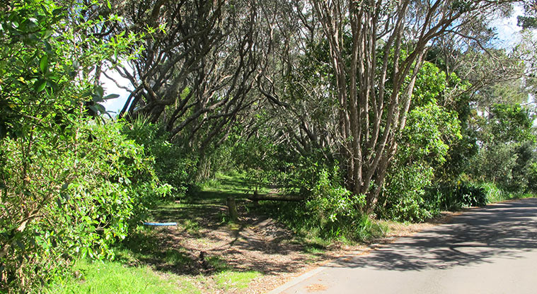 Centennial Park Path - Take the track on the left off Morton Way