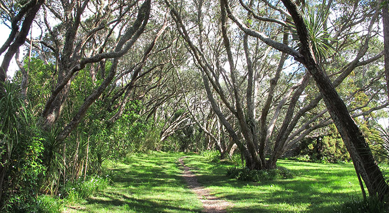 Centennial Park Path - Path through the “Avenue of Remembrance”