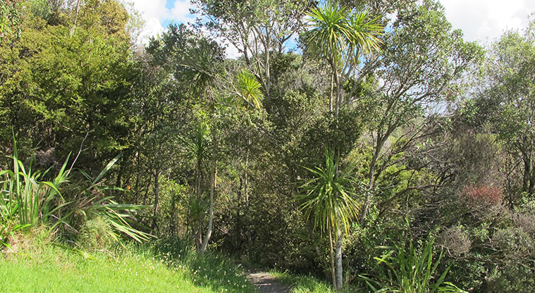 Centennial Park Path - Connect back with the formal track