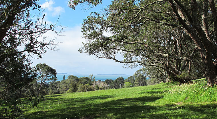 Centennial Park Path - View looking back from Morton Way