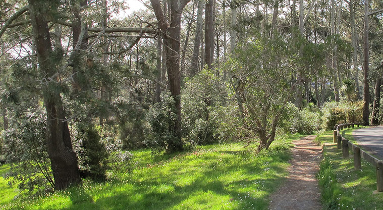 Centennial Park Path - Follow path alongside Morton Way.