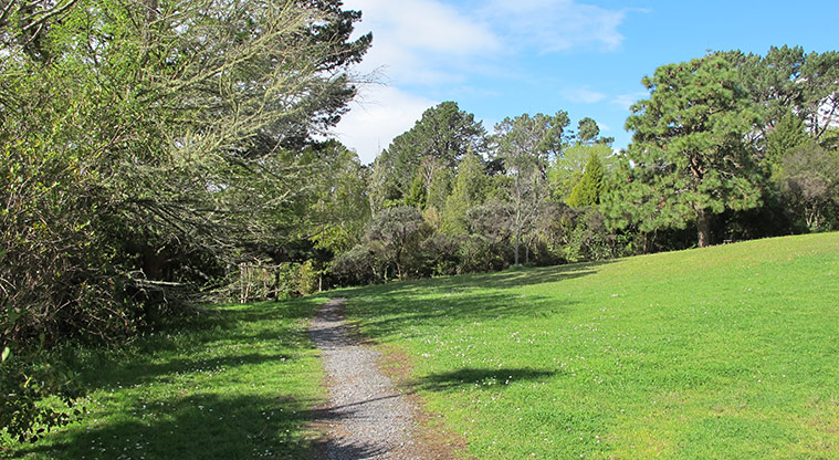 Centennial Park Path - Clearing area