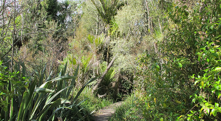 Centennial Park Path - Path heads into bush again