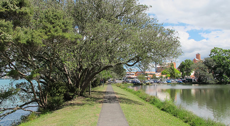 Chelsea Heritage Path - Walk under a line of Pohutukawa next to the pond