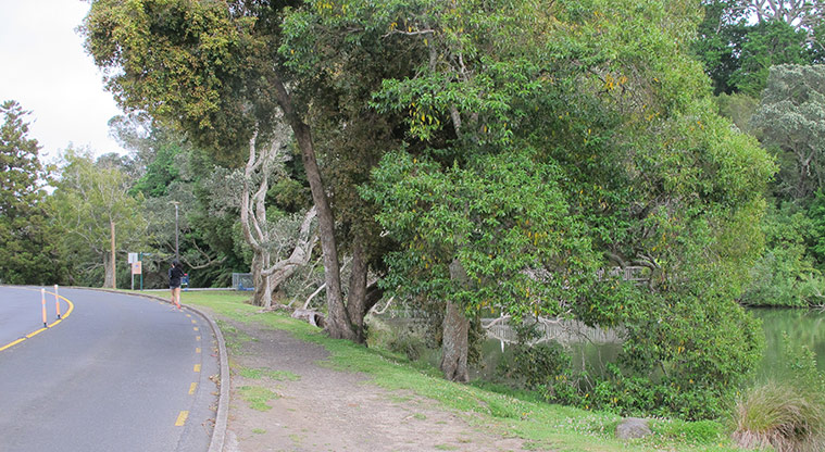 Chelsea Heritage Path - Path runs alongside the internal road