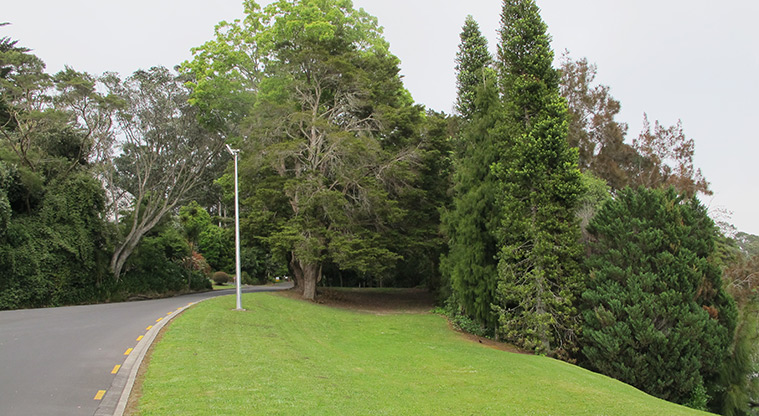 Chelsea Heritage Path - Path through grass area and trees