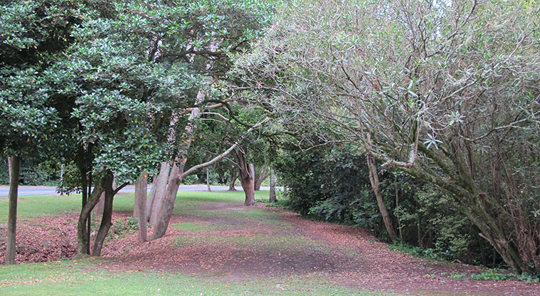 Chelsea Heritage Path - Walk through the paths