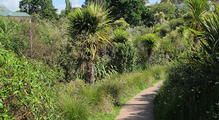 Churchill Park Path - Start of regenerating bush area.