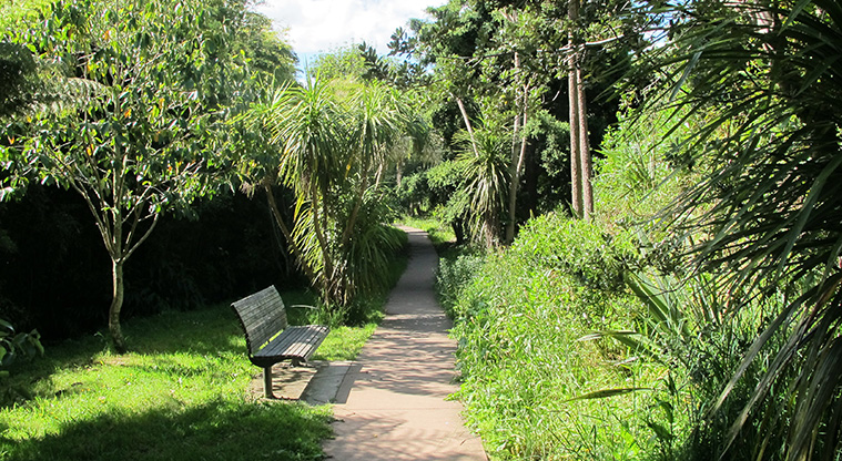Churchill Park Path - Tranquil seating in the bush area.