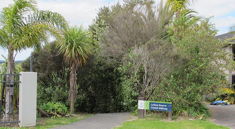 Clearwater Cove Path - Leave Luckens Reserve and at the Mansion Court cul-de-sac enter the Clearwater Cove Walkway.