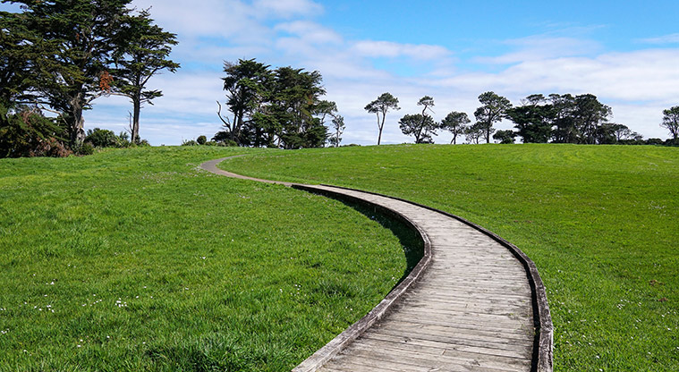 Clendon Path - Plenty of green space