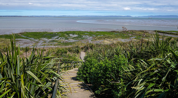 Clendon Path - Manukau Harbour views