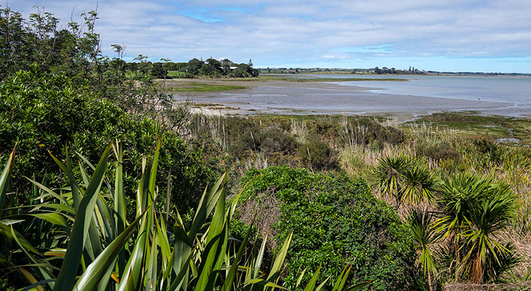 Clendon Path - Manukau Harbour views.