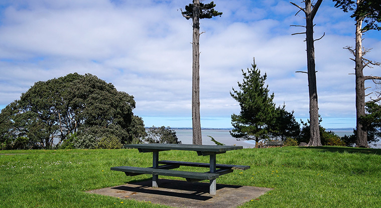 Clendon Path - Picnic area