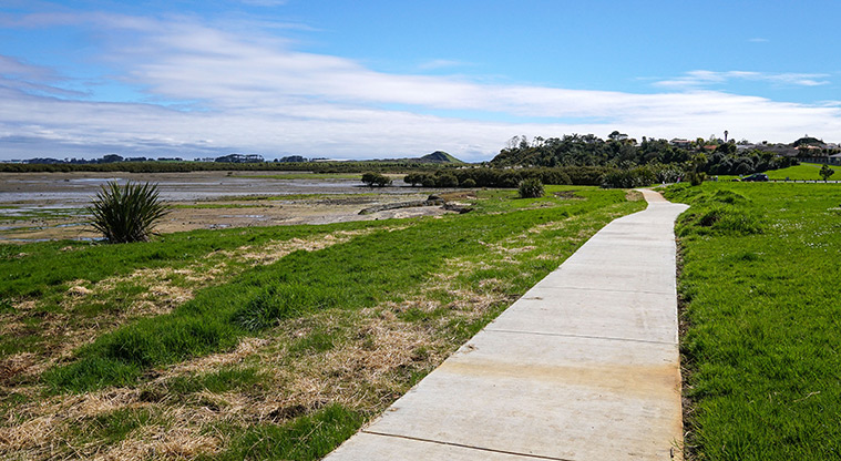 Clendon Path - Section of the path running next to foreshore