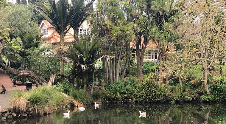 Coast to Coast Path (City to Pukekawa / Auckland Domain) – Duck pond in Auckland Domain.