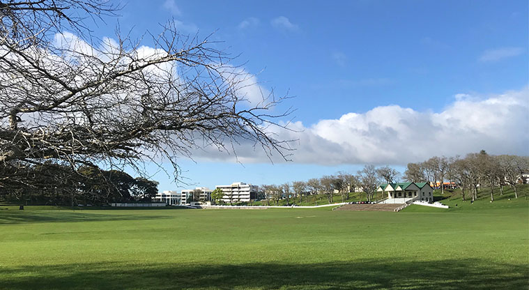 Coast to Coast Path (City to Pukekawa / Auckland Domain) – Auckland Domain sports field.