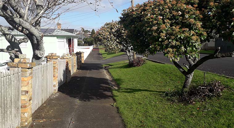 Coast to Coast Path (Cornwall Park to Manukau Harbour) – Section of path on Grey St.