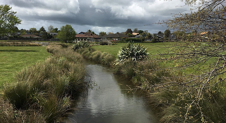 Conifer Grove Path - Creek viewed from small bridge.