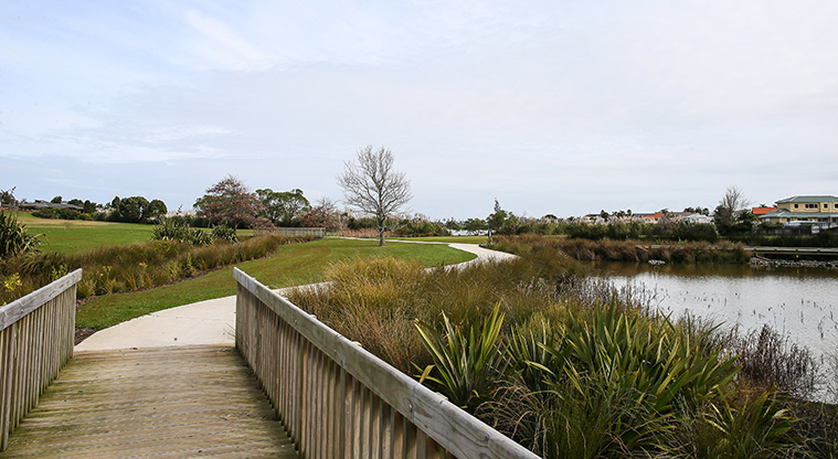 Conifer Grove Path - Path coming out of wetland.