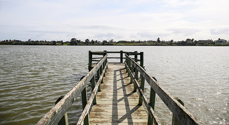 Conifer Grove Path - End of small pier off boardwalk.