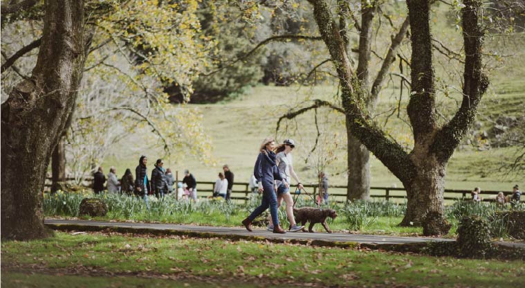 Cornwall Park Heritage Path –  Twin Oaks Drive.