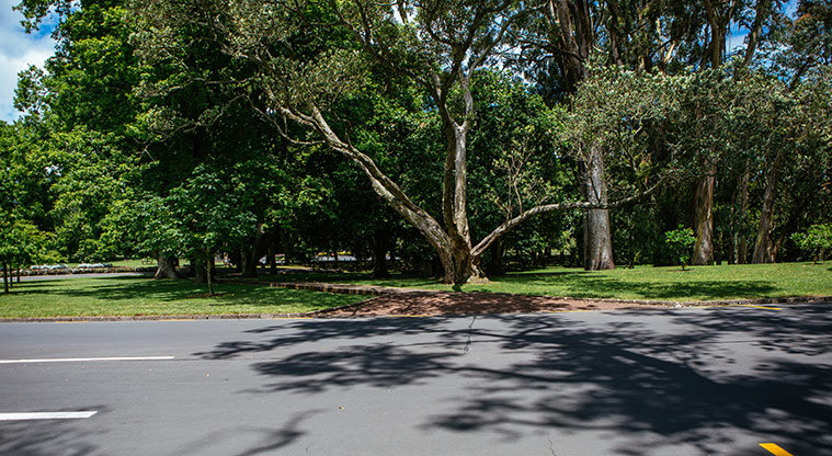 Cornwall Park Loop Path - Path start point cross to short boardwalk