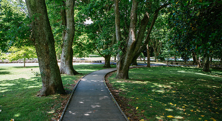 Cornwall Park Loop Path - Short boardwalk through oak trees