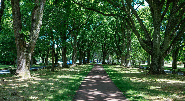 Cornwall Park Loop Path - Path through Twin Oak Drive