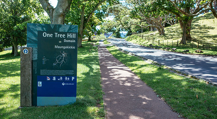 Cornwall Park Loop Path - Shaded section of the path.