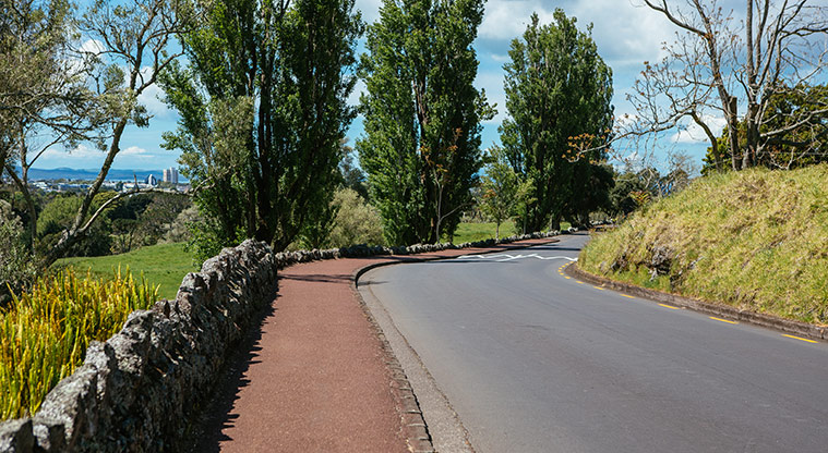 Cornwall Park Loop Path - Path follows the Olive Grove
