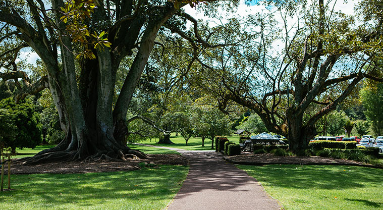Cornwall Park Loop Path - Last downhill part of the path