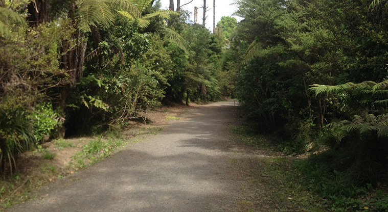 Craigavon Path - Gravel path through bush.