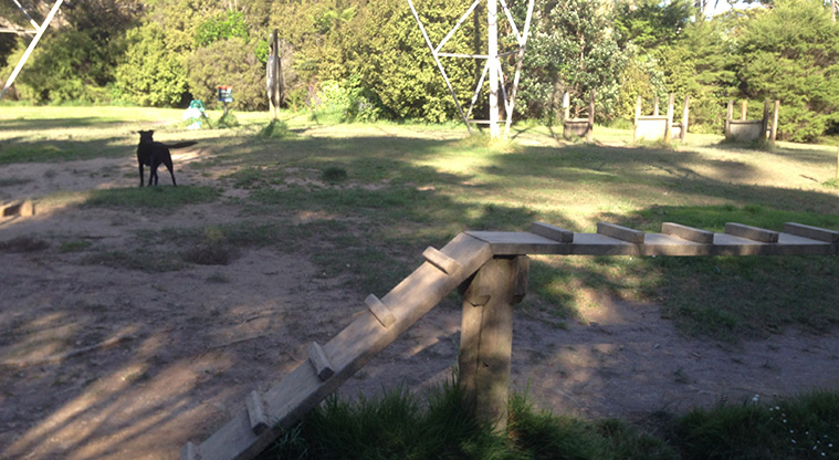 Craigavon Path - Dog play equipment.