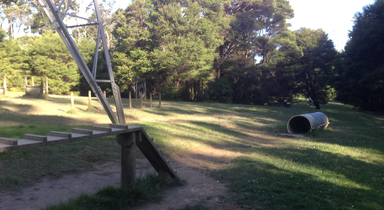 Craigavon Path - Dog play area.