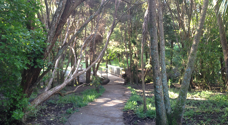 Craigavon Path - Sealed part of the path and creek crossing.