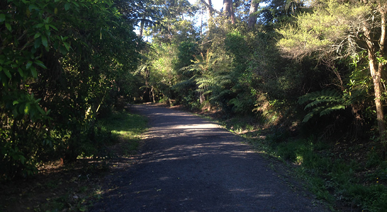 Craigavon Path - Gravel section of the path through the bush.