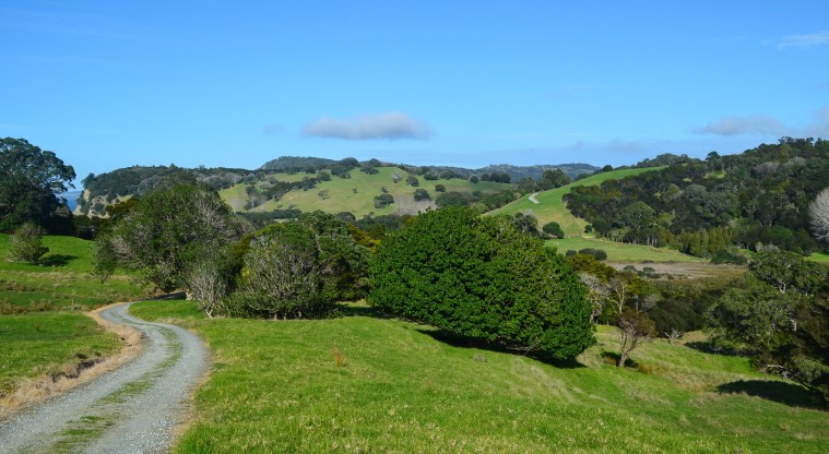 Cudlip Point Path - Start of the track which descends from the top car park down to the estuary.