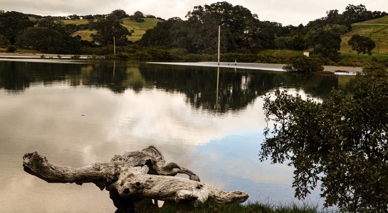 Cudlip Point Path - Estuary which walkers can cross over at low-tide to Te Muri beach.