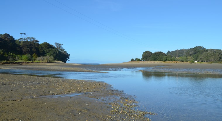 Cudlip Point Path - The estuary at low tide.