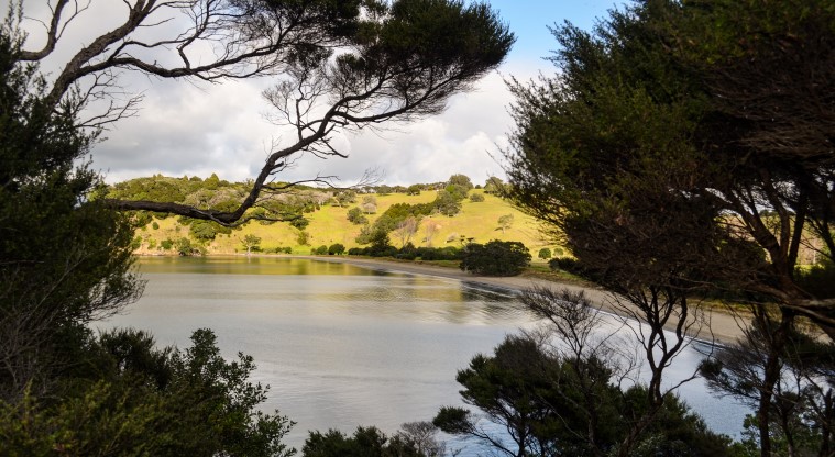 Cudlip Point Path - View towards Te Muri beach.