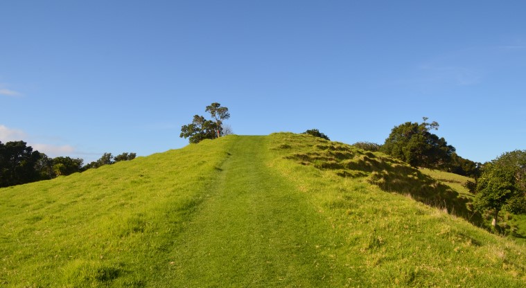 Cudlip Point Path - The grass track leading to the ridge.