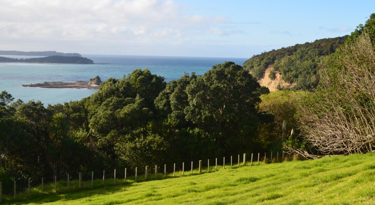 Cudlip Point Path - Views of the Northland coastline.
