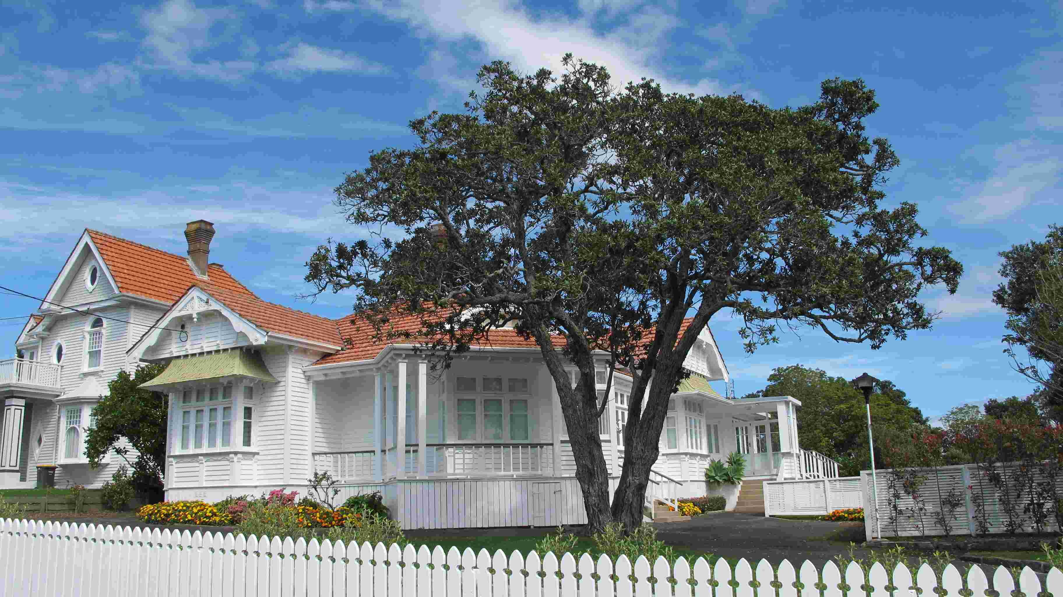 Devonport to Stanley Bay Path