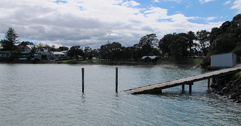 Devonport to Stanley Bay Path - Stanley Bay