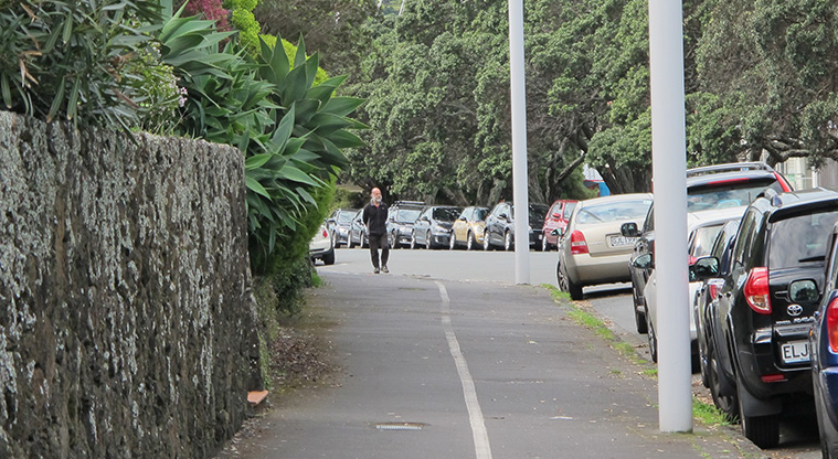 Devonport to Torpedo Bay Path - Typical section of path.